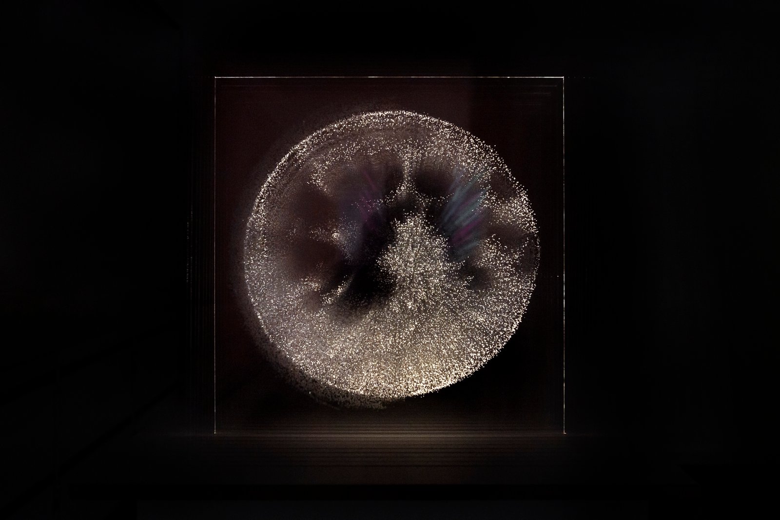 MOON PHASES Image